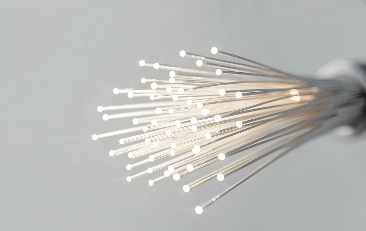 Investigación de Datos